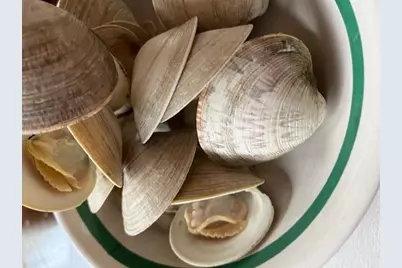 57 Old Kings Highway, Truro, MA 02666 - Photo 11