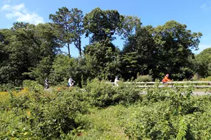 42 Old Colony Way, Orleans, MA 02653 - Photo 27