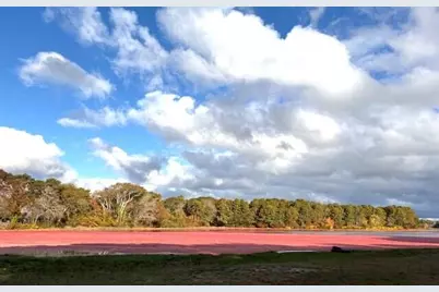 2 Candlewood Lane, Yarmouth, MA 02673 - Photo 39