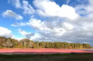 2 Candlewood Ln, Yarmouth, MA 02673 - Photo 39