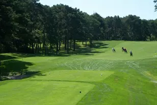 44 Old Heritage Way, Harwich, MA 02645 - Photo 55