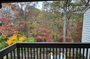 59 Main St, Dennis, MA 02638 - Photo 19