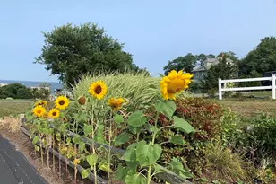 30 Highland Terrace, Plymouth, MA 02360 - Photo 37