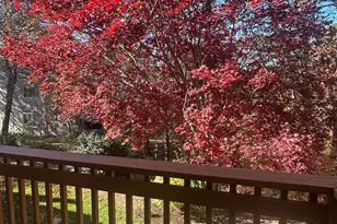 300 Buck Island Rd, Yarmouth, MA 02673 - Photo 15