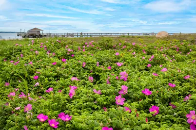 712 Main Street, Barnstable, MA 02601 - Photo 77