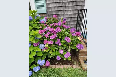 104 Wayside Drive, Brewster, MA 02631 - Photo 55