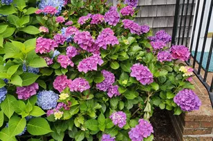 104 Wayside Dr, Brewster, MA 02631 - Photo 55