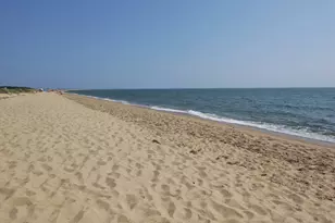 16 Gold Leaf Ln, Mashpee, MA 02649 - Photo 41