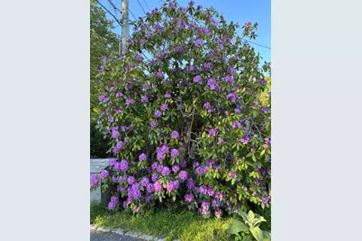 129 Hamlin Avenue, Falmouth, MA 02540 - Photo 27