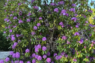 129 Hamlin Ave, Falmouth, MA 02540 - Photo 27