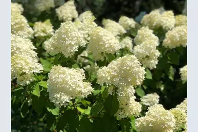 230 Old Wharf #272, Dennis, MA 02639 - Photo 17