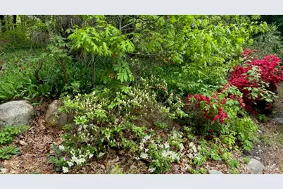 22 Pilgrim Lake Terrace, Orleans, MA 02653 - Photo 53