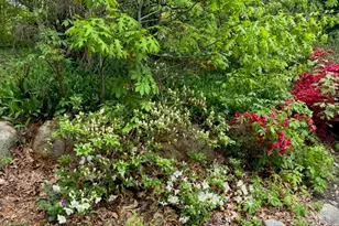 22 Pilgrim Lake Terrace, Orleans, MA 02653 - Photo 53