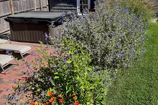 26 Winslow St, Provincetown, MA 02657 - Photo 37