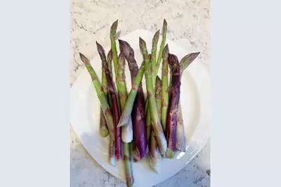 337 Jonathans Way, Brewster, MA 02631 - Photo 57