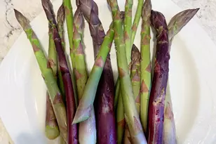 337 Jonathans Way, Brewster, MA 02631 - Photo 57