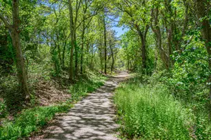 169 Tisquantum Rd, Chatham, MA 02633 - Photo 39