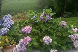 138 Chase St, Barnstable, MA 02601 - Photo 61