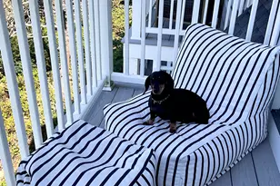 9 Chase Ave, Dennis, MA 02639 - Photo 23