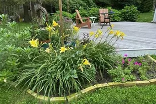 5 Chickadee Ln, Barnstable, MA 02632 - Photo 3