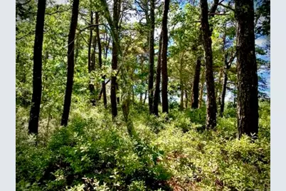 37 Oak Valley Road, Wellfleet, MA 02667 - Photo 5