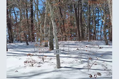 37 Oak Valley Road, Wellfleet, MA 02667 - Photo 1