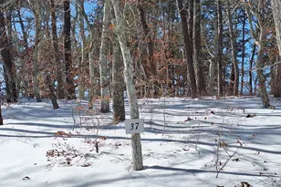 37 Oak Valley Rd, Wellfleet, MA 02667 - Photo 1