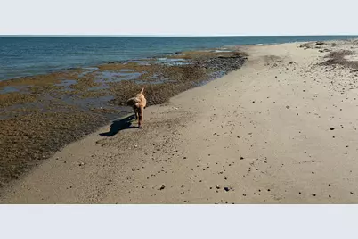 16 Bosuns Lane, Mashpee, MA 02649 - Photo 45