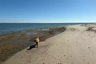 16 Bosun's Ln, Mashpee, MA 02649 - Photo 45