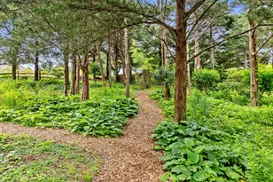 43 Old Duck Hole Rd, Orleans, MA 02653 - Photo 77