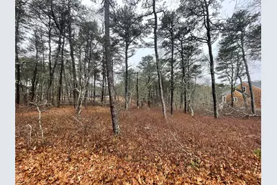 30 Sam Hollow Road, Wellfleet, MA 02667 - Photo 11