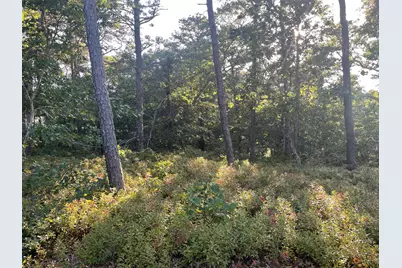 30 Sam Hollow Road, Wellfleet, MA 02667 - Photo 5