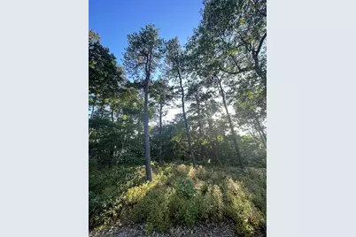 30 Sam Hollow Road, Wellfleet, MA 02667 - Photo 1