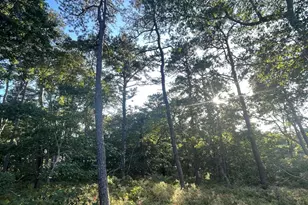 30 Sam Hollow Rd, Wellfleet, MA 02667 - Photo 1