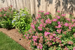 121 Eileen St, Yarmouth, MA 02675 - Photo 47