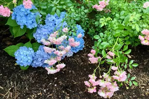 121 Eileen St, Yarmouth, MA 02675 - Photo 45