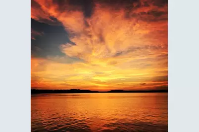 10 Brian Way, Harwich, MA 02645 - Photo 67