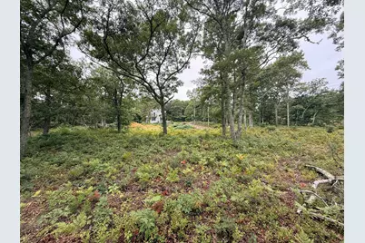 0 Old Chatham Road, Brewster, MA 02631 - Photo 5