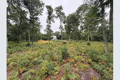 235 Old Chatham Road, Brewster, MA 02631 - Photo 7