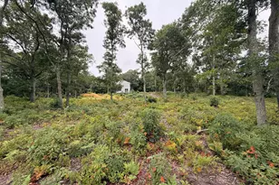 235 Old Chatham Rd, Brewster, MA 02631 - Photo 7