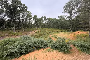 235 Old Chatham Rd, Brewster, MA 02631 - Photo 9