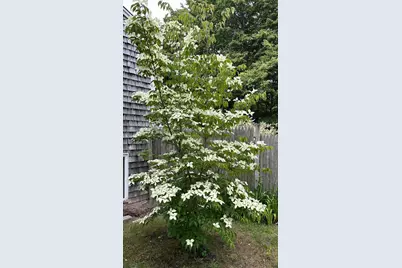 13 Allen Street, Harwich, MA 02645 - Photo 13