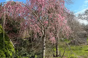 13 Allen St, Harwich, MA 02645 - Photo 25