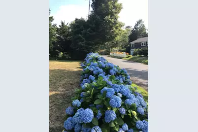 13 Allen Street, Harwich, MA 02645 - Photo 9