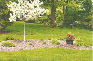 1 Seastrand Way, Chatham, MA 02633 - Photo 27