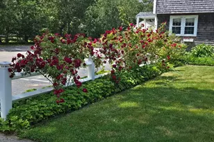 65 Inman Rd, Dennis, MA 02639 - Photo 25