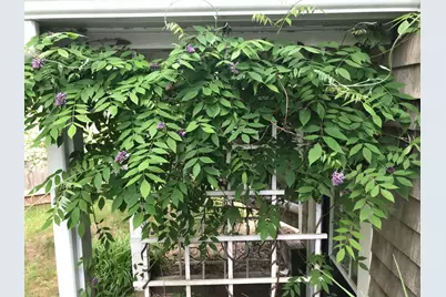 13 Allen Street, Harwich, MA 02645 - Photo 23