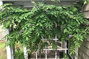 13 Allen St, Harwich, MA 02645 - Photo 23