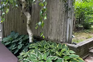 13 Allen St, Harwich, MA 02645 - Photo 19