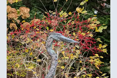 16 Old Salt Works Road, Chatham, MA 02633 - Photo 41